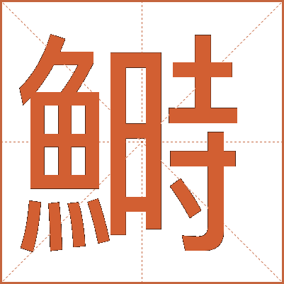 鰣